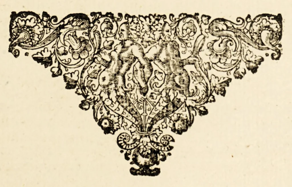 An illustration from Claar vertooch van de verradersche en vyantlijcke acten en proceduren van Poortugaal, : in't verwecken ende stijven van de rebellie ende oorloghe in Brasil. Beweesen uyt de brieven en geschriften van het selve kijck ende hare ministers,, 1647, leaf 45