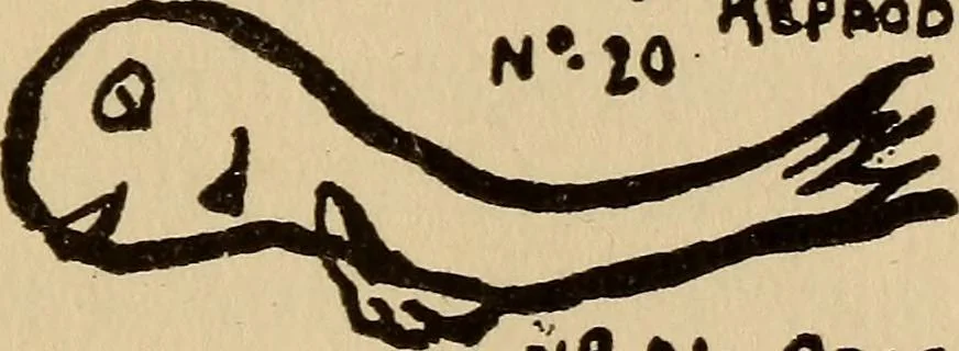 An illustration from Clairvoyance and thought-transference, 1916, leaf 96