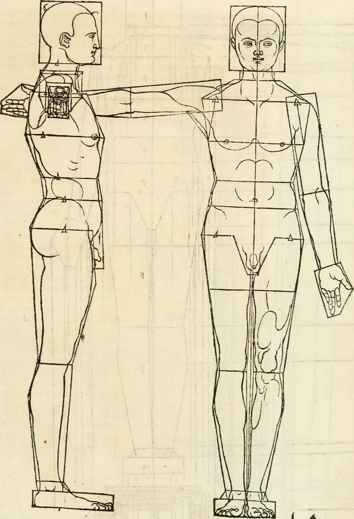 An illustration from Clariss[imi] pictoris et geometræ Alberti Dureri, De varietate figurarum et flexuris partium ac gestib[um] imaginum, : libri duo, cqui priorib[us] De symmetria quondam editis, nunc primum in latinum conversi accesserunt, 1534, leaf 100
