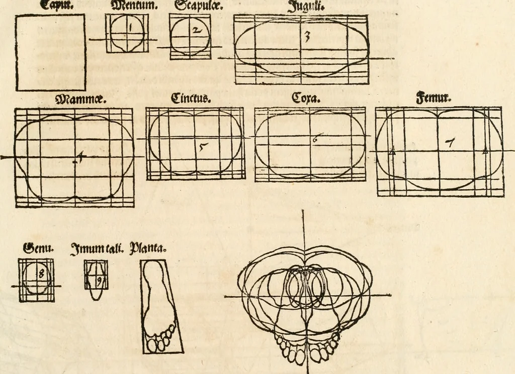 An illustration from Clariss[imi] pictoris et geometræ Alberti Dureri, De varietate figurarum et flexuris partium ac gestib[um] imaginum, : libri duo, cqui priorib[us] De symmetria quondam editis, nunc primum in latinum conversi accesserunt, 1534, leaf 102