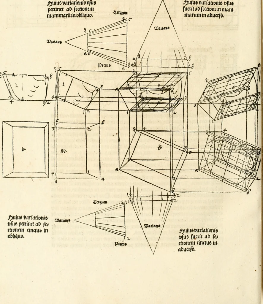 An illustration from Clariss[imi] pictoris et geometræ Alberti Dureri, De varietate figurarum et flexuris partium ac gestib[um] imaginum, : libri duo, cqui priorib[us] De symmetria quondam editis, nunc primum in latinum conversi accesserunt, 1534, leaf 103