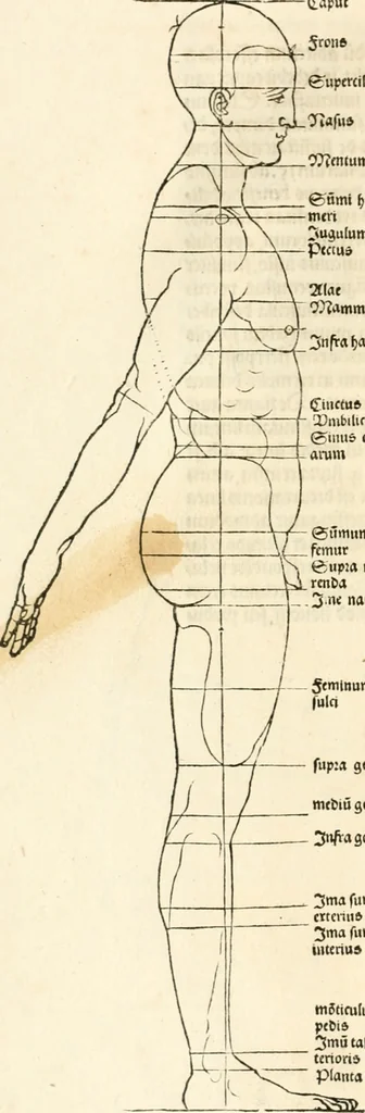 An illustration from Clariss[imi] pictoris et geometræ Alberti Dureri, De varietate figurarum et flexuris partium ac gestib[um] imaginum, : libri duo, cqui priorib[us] De symmetria quondam editis, nunc primum in latinum conversi accesserunt, 1534, leaf 13