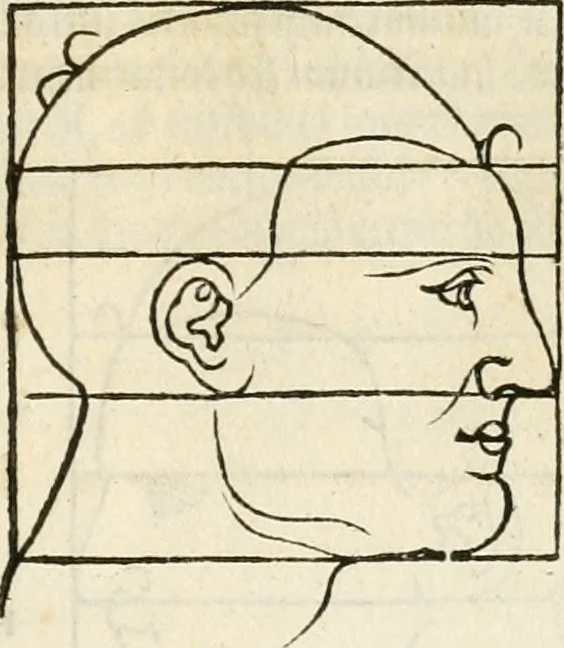 An illustration from Clariss[imi] pictoris et geometræ Alberti Dureri, De varietate figurarum et flexuris partium ac gestib[um] imaginum, : libri duo, cqui priorib[us] De symmetria quondam editis, nunc primum in latinum conversi accesserunt, 1534, leaf 28