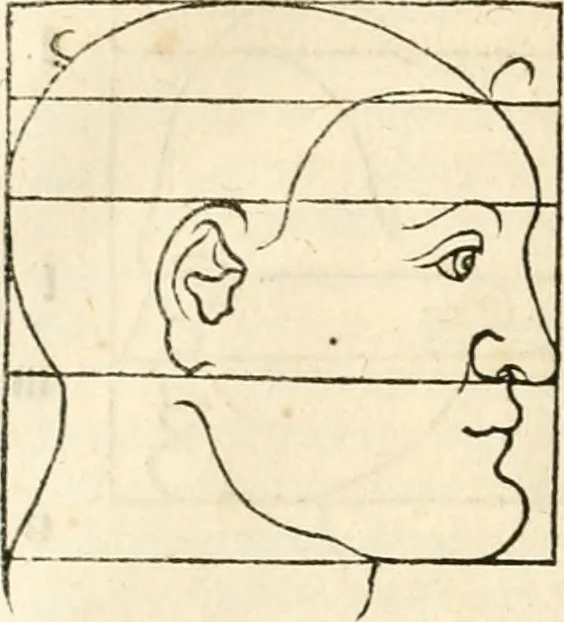 An illustration from Clariss[imi] pictoris et geometræ Alberti Dureri, De varietate figurarum et flexuris partium ac gestib[um] imaginum, : libri duo, cqui priorib[us] De symmetria quondam editis, nunc primum in latinum conversi accesserunt, 1534, leaf 29