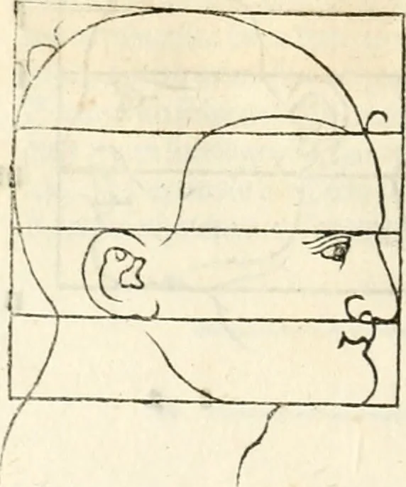 An illustration from Clariss[imi] pictoris et geometræ Alberti Dureri, De varietate figurarum et flexuris partium ac gestib[um] imaginum, : libri duo, cqui priorib[us] De symmetria quondam editis, nunc primum in latinum conversi accesserunt, 1534, leaf 29