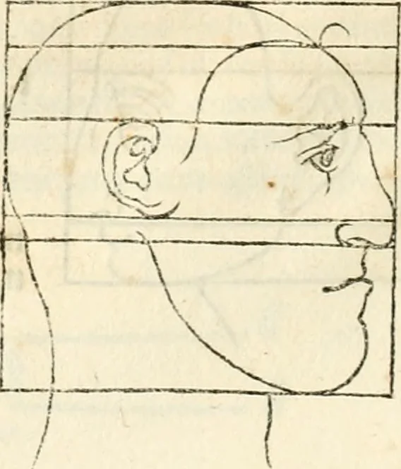 An illustration from Clariss[imi] pictoris et geometræ Alberti Dureri, De varietate figurarum et flexuris partium ac gestib[um] imaginum, : libri duo, cqui priorib[us] De symmetria quondam editis, nunc primum in latinum conversi accesserunt, 1534, leaf 29