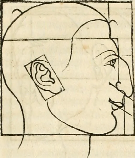 An illustration from Clariss[imi] pictoris et geometræ Alberti Dureri, De varietate figurarum et flexuris partium ac gestib[um] imaginum, : libri duo, cqui priorib[us] De symmetria quondam editis, nunc primum in latinum conversi accesserunt, 1534, leaf 34