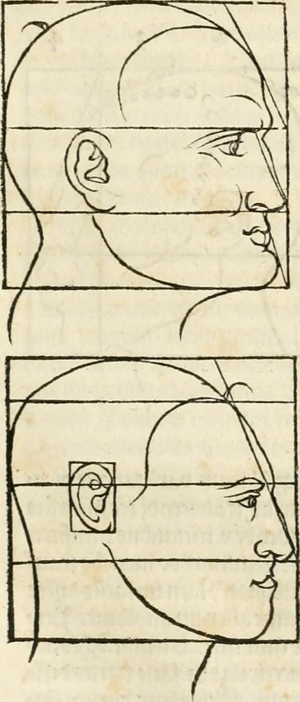 An illustration from Clariss[imi] pictoris et geometræ Alberti Dureri, De varietate figurarum et flexuris partium ac gestib[um] imaginum, : libri duo, cqui priorib[us] De symmetria quondam editis, nunc primum in latinum conversi accesserunt, 1534, leaf 34