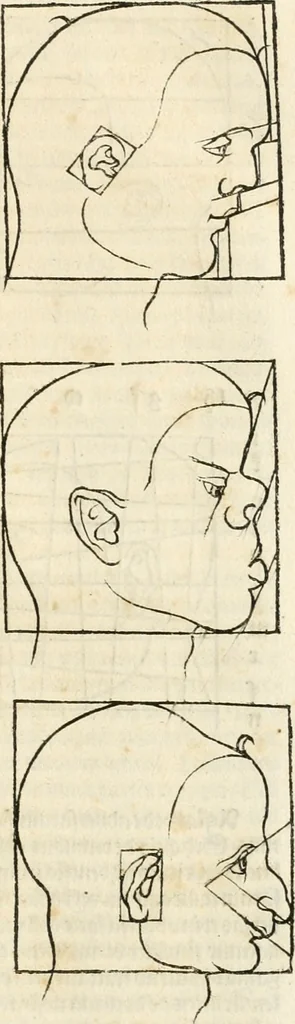An illustration from Clariss[imi] pictoris et geometræ Alberti Dureri, De varietate figurarum et flexuris partium ac gestib[um] imaginum, : libri duo, cqui priorib[us] De symmetria quondam editis, nunc primum in latinum conversi accesserunt, 1534, leaf 34