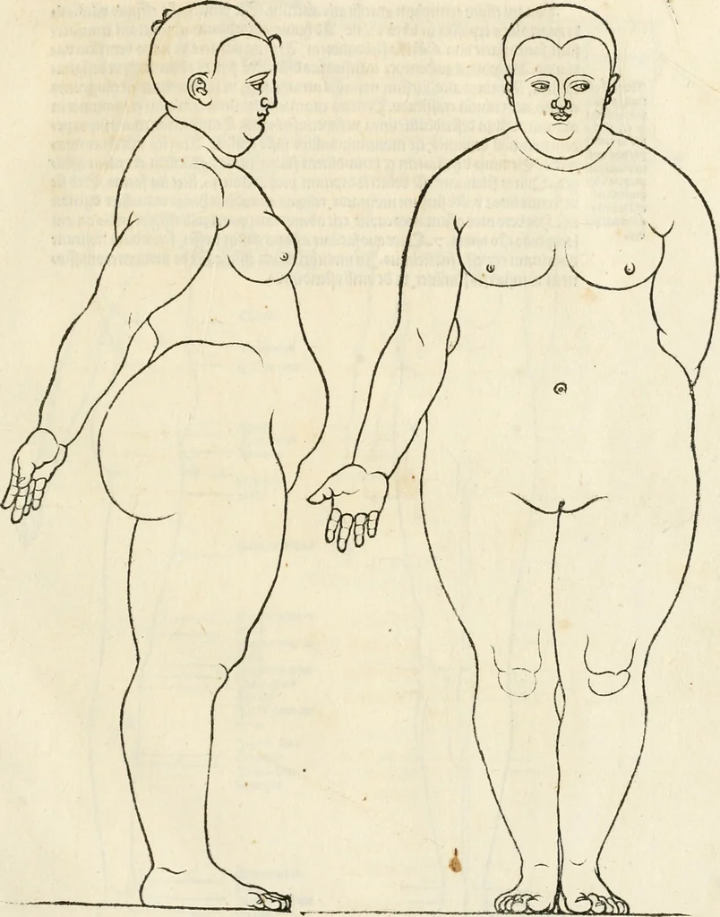 An illustration from Clariss[imi] pictoris et geometræ Alberti Dureri, De varietate figurarum et flexuris partium ac gestib[um] imaginum, : libri duo, cqui priorib[us] De symmetria quondam editis, nunc primum in latinum conversi accesserunt, 1534, leaf 44