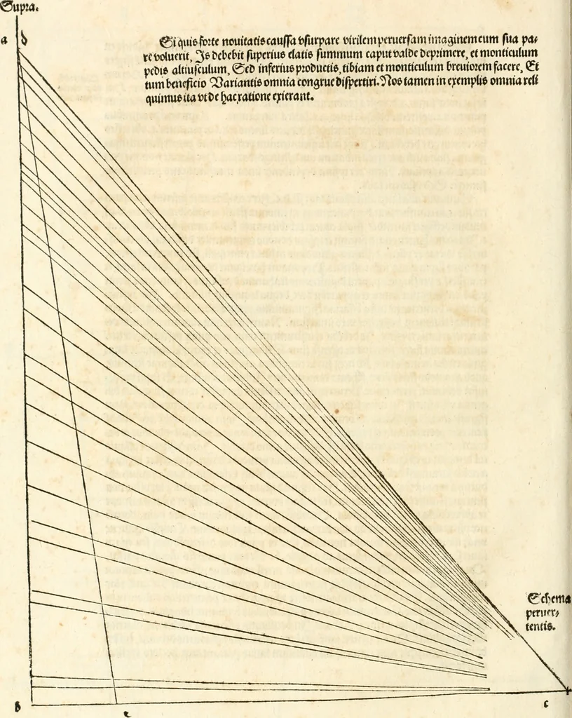 An illustration from Clariss[imi] pictoris et geometræ Alberti Dureri, De varietate figurarum et flexuris partium ac gestib[um] imaginum, : libri duo, cqui priorib[us] De symmetria quondam editis, nunc primum in latinum conversi accesserunt, 1534, leaf 51