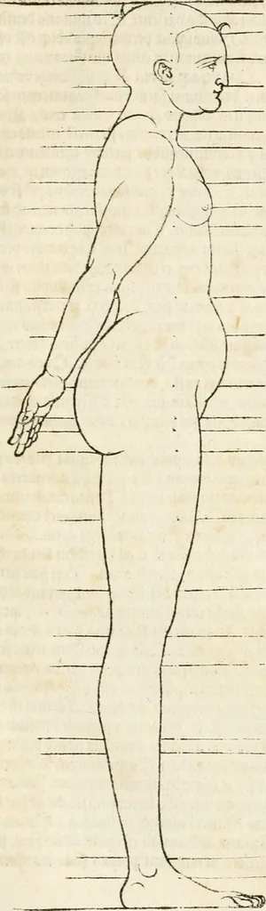 An illustration from Clariss[imi] pictoris et geometræ Alberti Dureri, De varietate figurarum et flexuris partium ac gestib[um] imaginum, : libri duo, cqui priorib[us] De symmetria quondam editis, nunc primum in latinum conversi accesserunt, 1534, leaf 56