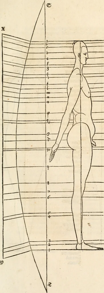 An illustration from Clariss[imi] pictoris et geometræ Alberti Dureri, De varietate figurarum et flexuris partium ac gestib[um] imaginum, : libri duo, cqui priorib[us] De symmetria quondam editis, nunc primum in latinum conversi accesserunt, 1534, leaf 62