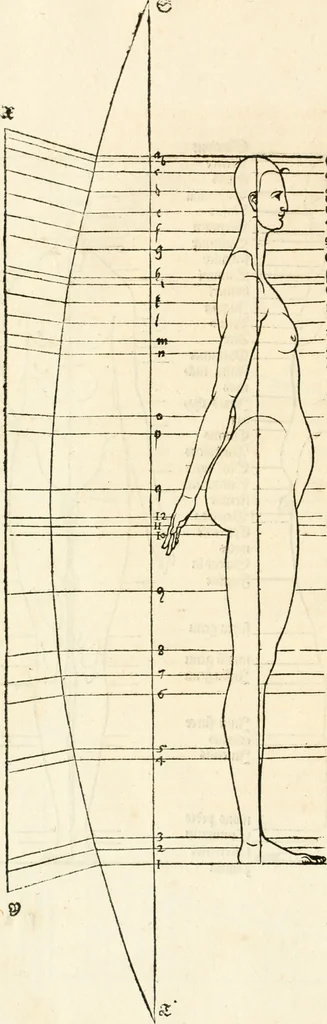 An illustration from Clariss[imi] pictoris et geometræ Alberti Dureri, De varietate figurarum et flexuris partium ac gestib[um] imaginum, : libri duo, cqui priorib[us] De symmetria quondam editis, nunc primum in latinum conversi accesserunt, 1534, leaf 63