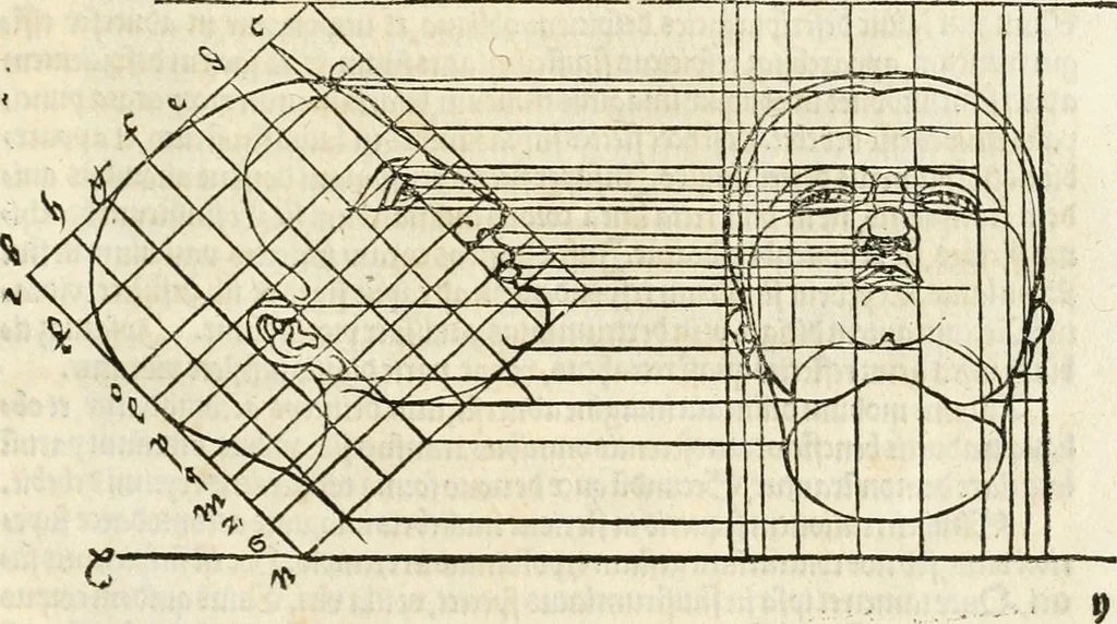 An illustration from Clariss[imi] pictoris et geometræ Alberti Dureri, De varietate figurarum et flexuris partium ac gestib[um] imaginum, : libri duo, cqui priorib[us] De symmetria quondam editis, nunc primum in latinum conversi accesserunt, 1534, leaf 78