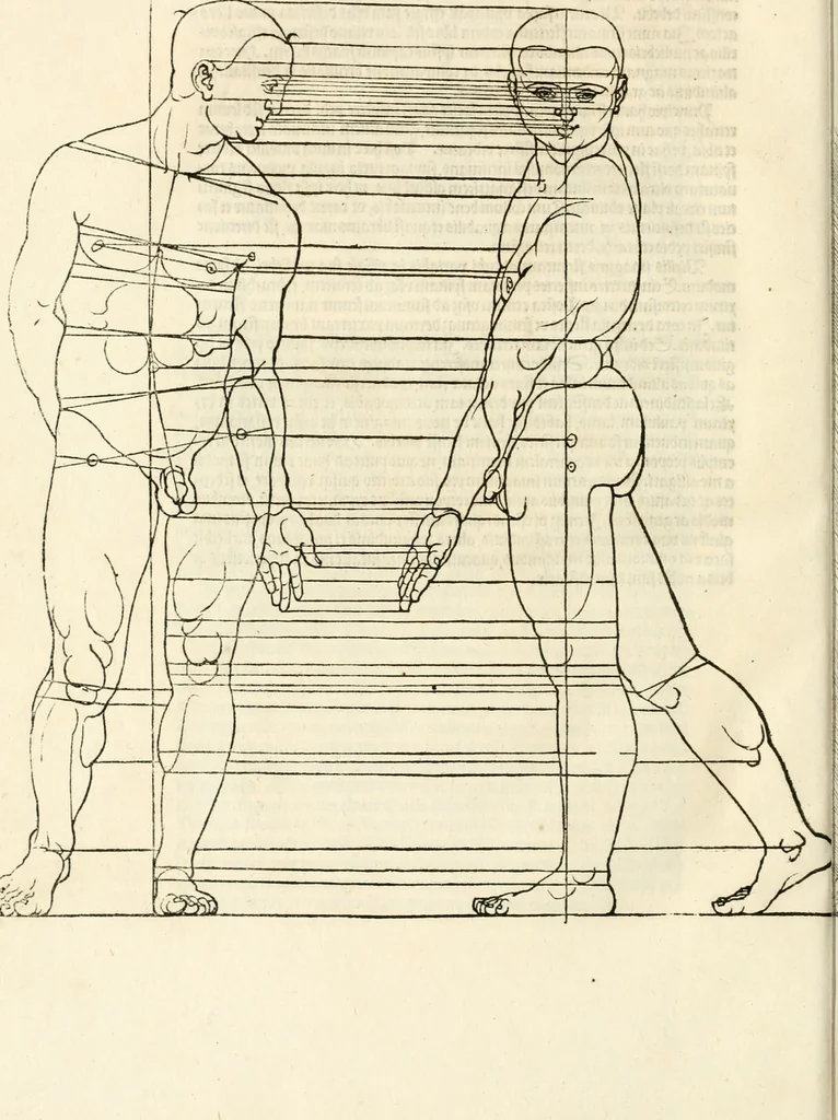 An illustration from Clariss[imi] pictoris et geometræ Alberti Dureri, De varietate figurarum et flexuris partium ac gestib[um] imaginum, : libri duo, cqui priorib[us] De symmetria quondam editis, nunc primum in latinum conversi accesserunt, 1534, leaf 81