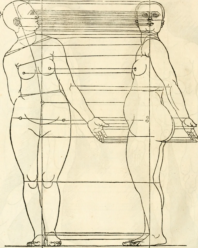 An illustration from Clariss[imi] pictoris et geometræ Alberti Dureri, De varietate figurarum et flexuris partium ac gestib[um] imaginum, : libri duo, cqui priorib[us] De symmetria quondam editis, nunc primum in latinum conversi accesserunt, 1534, leaf 83