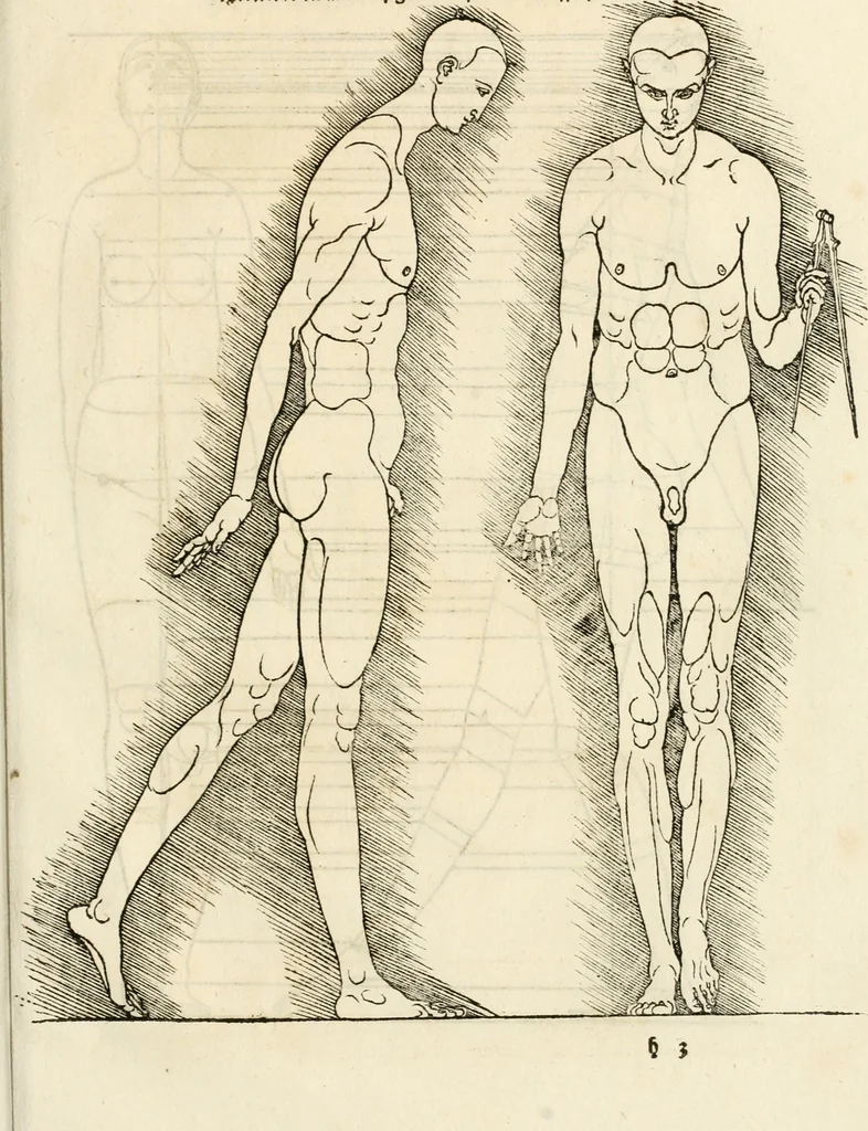 An illustration from Clariss[imi] pictoris et geometræ Alberti Dureri, De varietate figurarum et flexuris partium ac gestib[um] imaginum, : libri duo, cqui priorib[us] De symmetria quondam editis, nunc primum in latinum conversi accesserunt, 1534, leaf 86