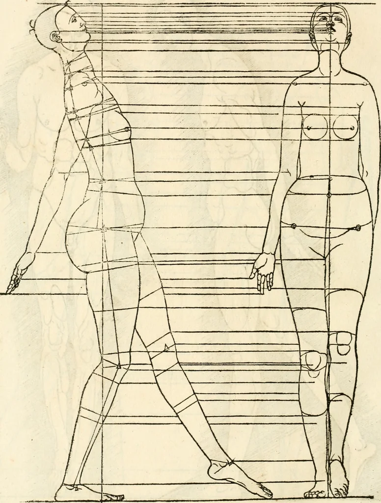 An illustration from Clariss[imi] pictoris et geometræ Alberti Dureri, De varietate figurarum et flexuris partium ac gestib[um] imaginum, : libri duo, cqui priorib[us] De symmetria quondam editis, nunc primum in latinum conversi accesserunt, 1534, leaf 87