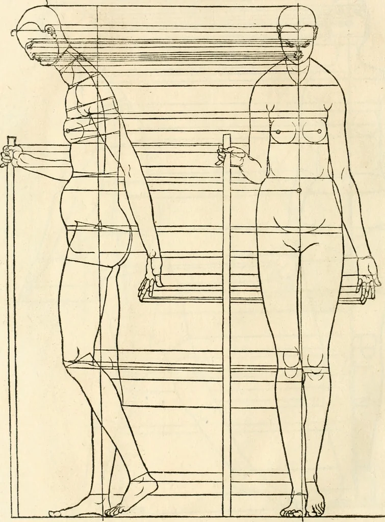 An illustration from Clariss[imi] pictoris et geometræ Alberti Dureri, De varietate figurarum et flexuris partium ac gestib[um] imaginum, : libri duo, cqui priorib[us] De symmetria quondam editis, nunc primum in latinum conversi accesserunt, 1534, leaf 89
