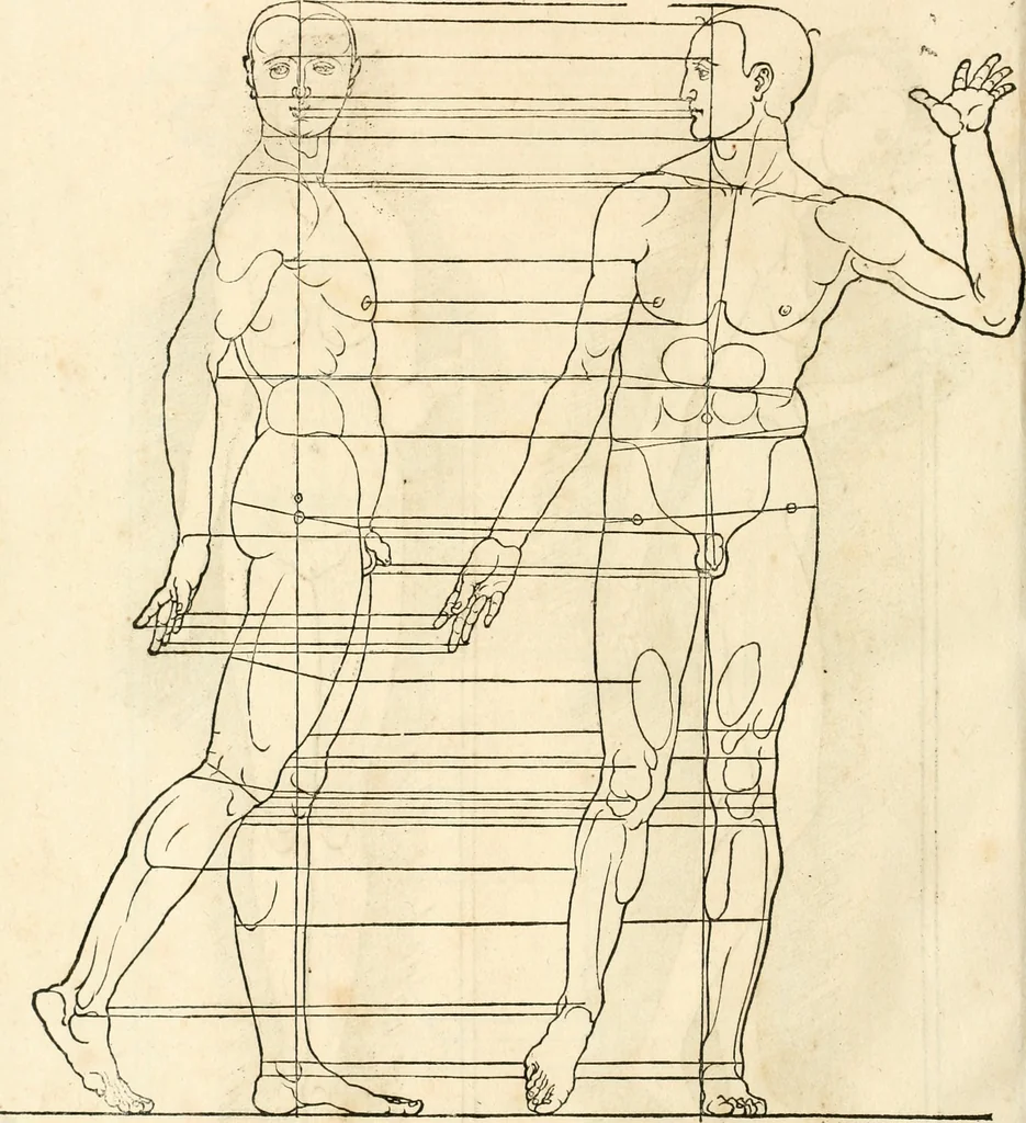 An illustration from Clariss[imi] pictoris et geometræ Alberti Dureri, De varietate figurarum et flexuris partium ac gestib[um] imaginum, : libri duo, cqui priorib[us] De symmetria quondam editis, nunc primum in latinum conversi accesserunt, 1534, leaf 91