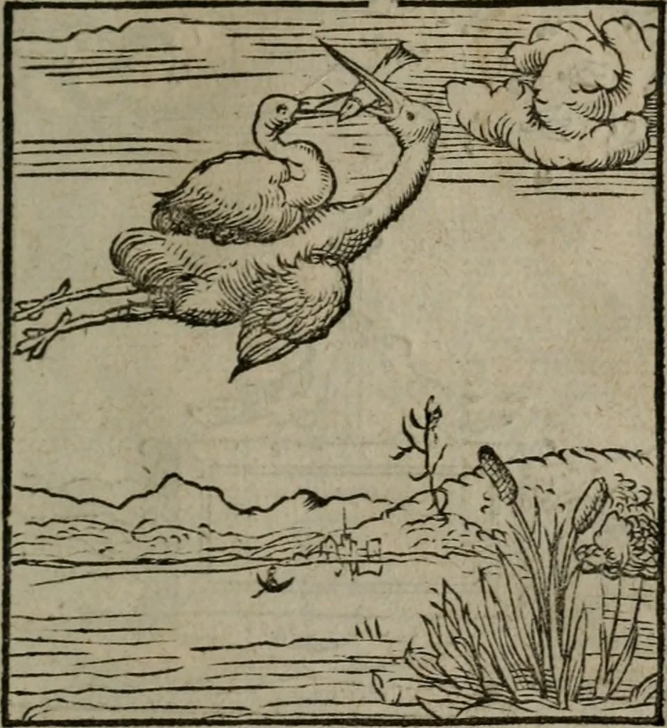 An illustration from Clarissimi Viri D. Andreae Alciati Emblematum libellus : vigilanter recognitus, & ab ipso iam authore locupletatus, 1542, leaf 10