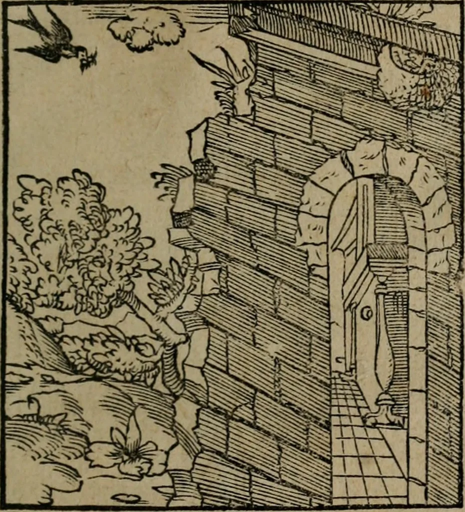 An illustration from Clarissimi Viri D. Andreae Alciati Emblematum libellus : vigilanter recognitus, & ab ipso iam authore locupletatus, 1542, leaf 106
