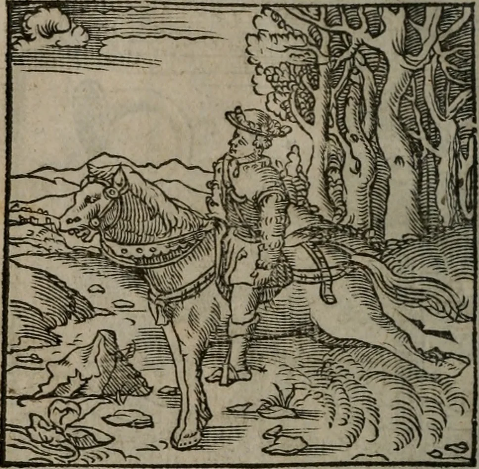 An illustration from Clarissimi Viri D. Andreae Alciati Emblematum libellus : vigilanter recognitus, & ab ipso iam authore locupletatus, 1542, leaf 113