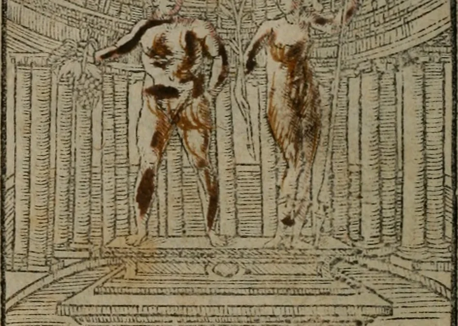 An illustration from Clarissimi Viri D. Andreae Alciati Emblematum libellus : vigilanter recognitus, & ab ipso iam authore locupletatus, 1542, leaf 121