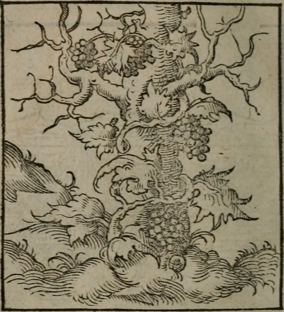 An illustration from Clarissimi Viri D. Andreae Alciati Emblematum libellus : vigilanter recognitus, & ab ipso iam authore locupletatus, 1542, leaf 17