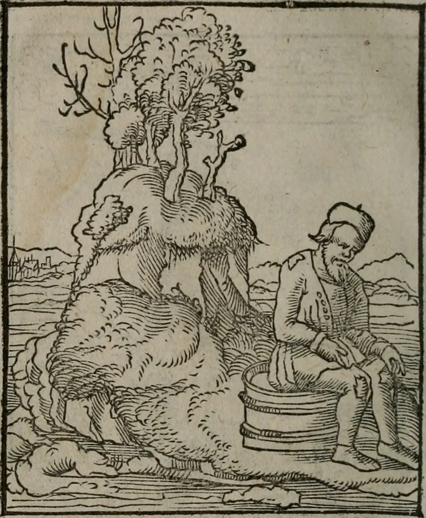 An illustration from Clarissimi Viri D. Andreae Alciati Emblematum libellus : vigilanter recognitus, & ab ipso iam authore locupletatus, 1542, leaf 19