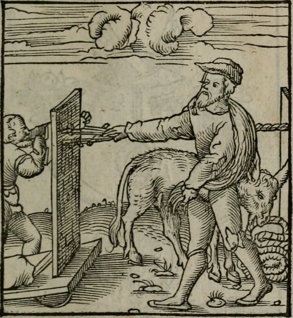 An illustration from Clarissimi Viri D. Andreae Alciati Emblematum libellus : vigilanter recognitus, & ab ipso iam authore locupletatus, 1542, leaf 22