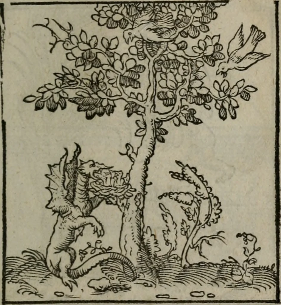 An illustration from Clarissimi Viri D. Andreae Alciati Emblematum libellus : vigilanter recognitus, & ab ipso iam authore locupletatus, 1542, leaf 28
