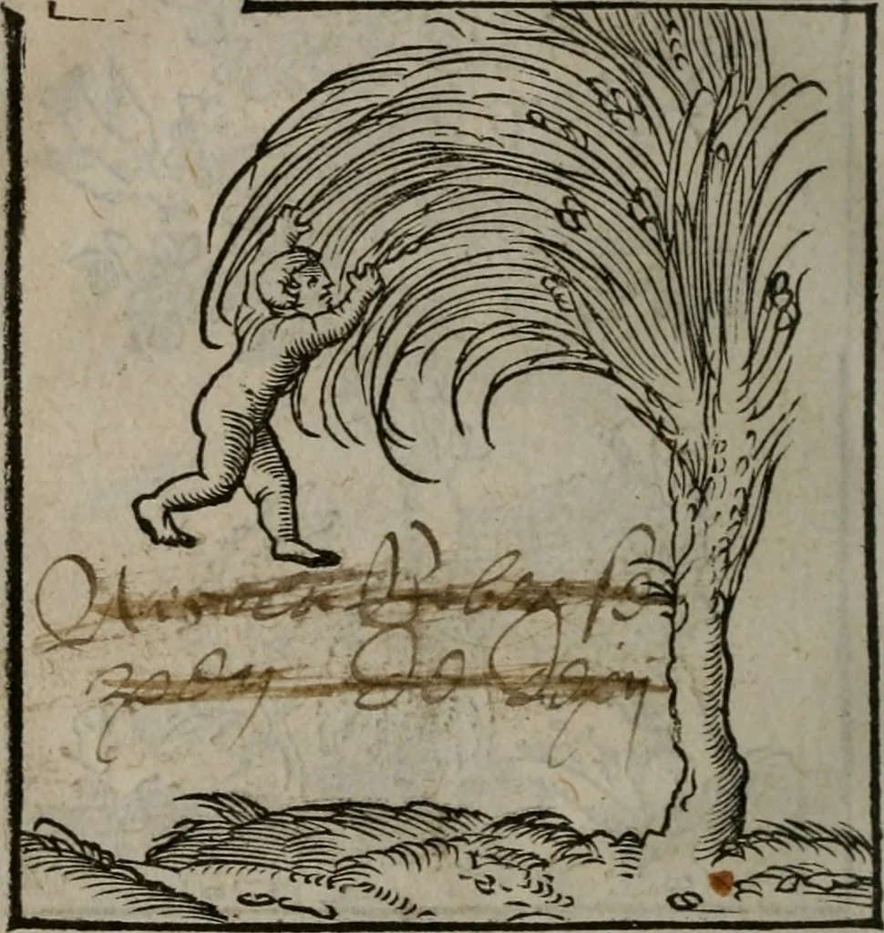 An illustration from Clarissimi Viri D. Andreae Alciati Emblematum libellus : vigilanter recognitus, & ab ipso iam authore locupletatus, 1542, leaf 29