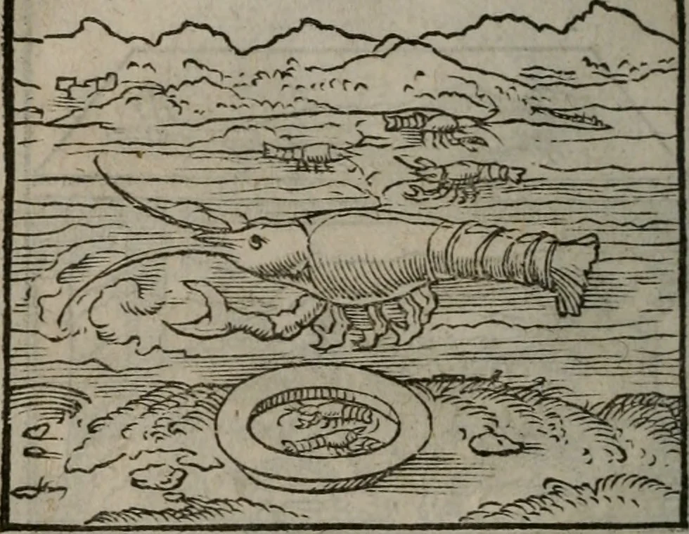 An illustration from Clarissimi Viri D. Andreae Alciati Emblematum libellus : vigilanter recognitus, & ab ipso iam authore locupletatus, 1542, leaf 31