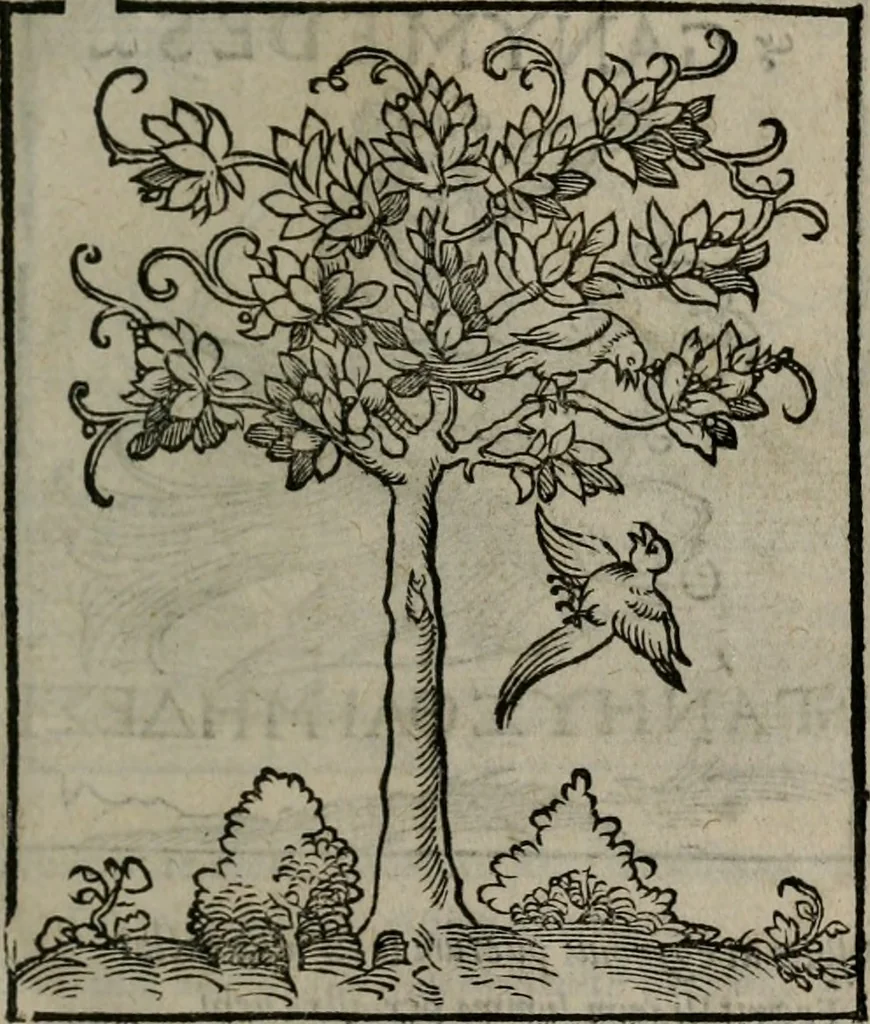 An illustration from Clarissimi Viri D. Andreae Alciati Emblematum libellus : vigilanter recognitus, & ab ipso iam authore locupletatus, 1542, leaf 36