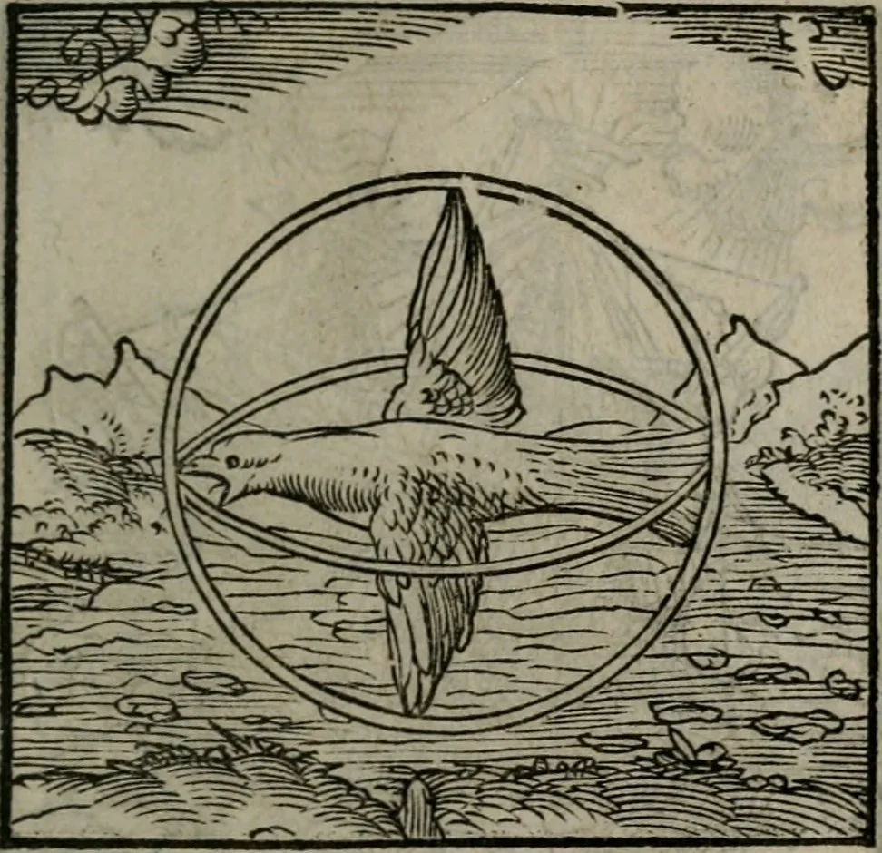 An illustration from Clarissimi Viri D. Andreae Alciati Emblematum libellus : vigilanter recognitus, & ab ipso iam authore locupletatus, 1542, leaf 38
