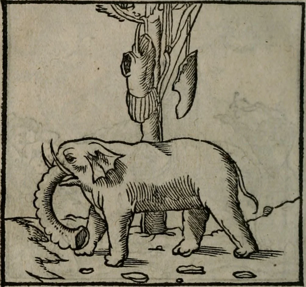 An illustration from Clarissimi Viri D. Andreae Alciati Emblematum libellus : vigilanter recognitus, & ab ipso iam authore locupletatus, 1542, leaf 41