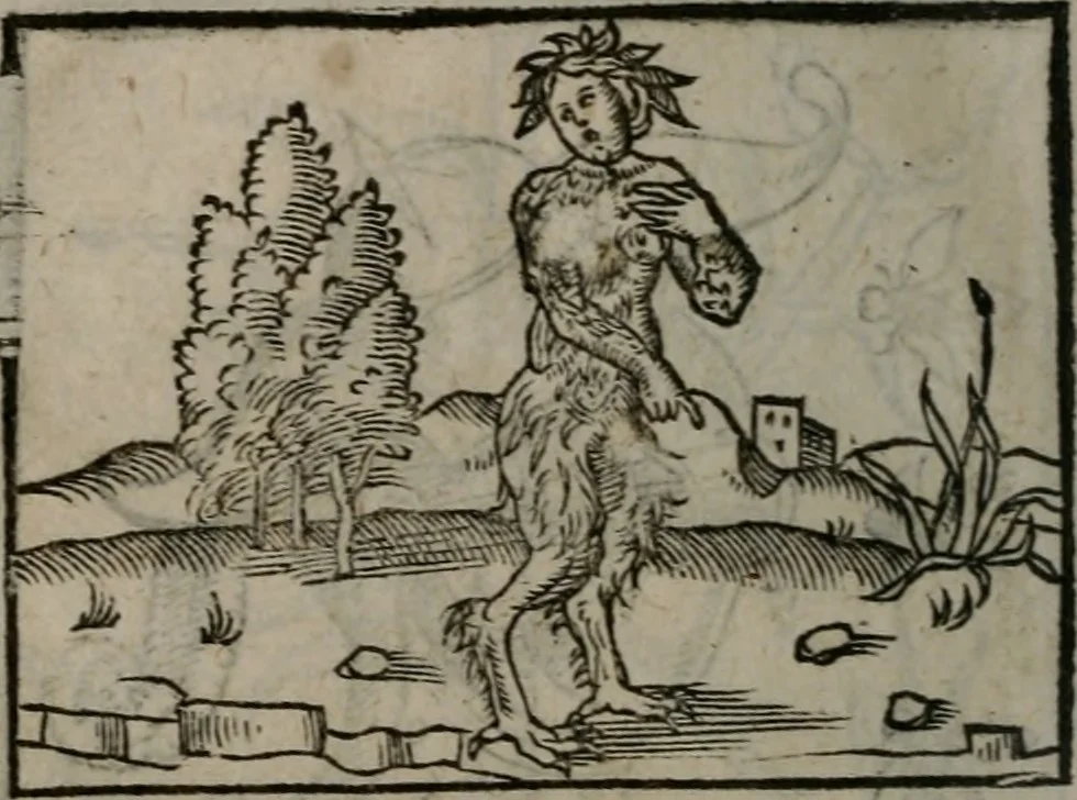 An illustration from Clarissimi Viri D. Andreae Alciati Emblematum libellus : vigilanter recognitus, & ab ipso iam authore locupletatus, 1542, leaf 51