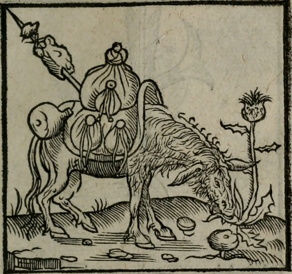 An illustration from Clarissimi Viri D. Andreae Alciati Emblematum libellus : vigilanter recognitus, & ab ipso iam authore locupletatus, 1542, leaf 56