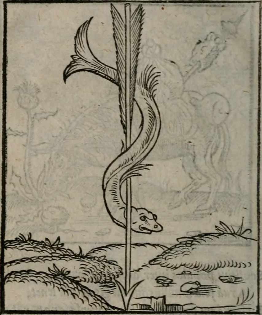 An illustration from Clarissimi Viri D. Andreae Alciati Emblematum libellus : vigilanter recognitus, & ab ipso iam authore locupletatus, 1542, leaf 57