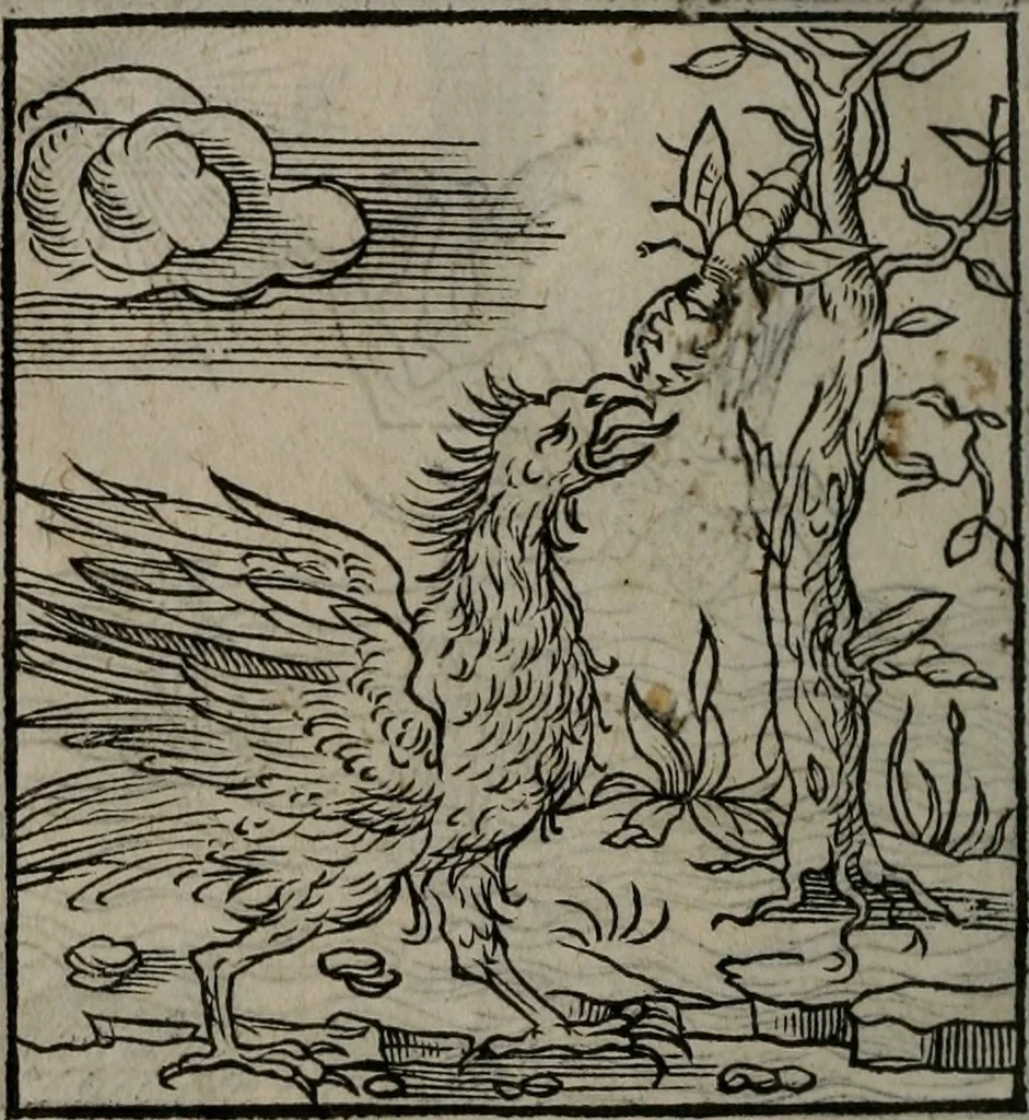 An illustration from Clarissimi Viri D. Andreae Alciati Emblematum libellus : vigilanter recognitus, & ab ipso iam authore locupletatus, 1542, leaf 59