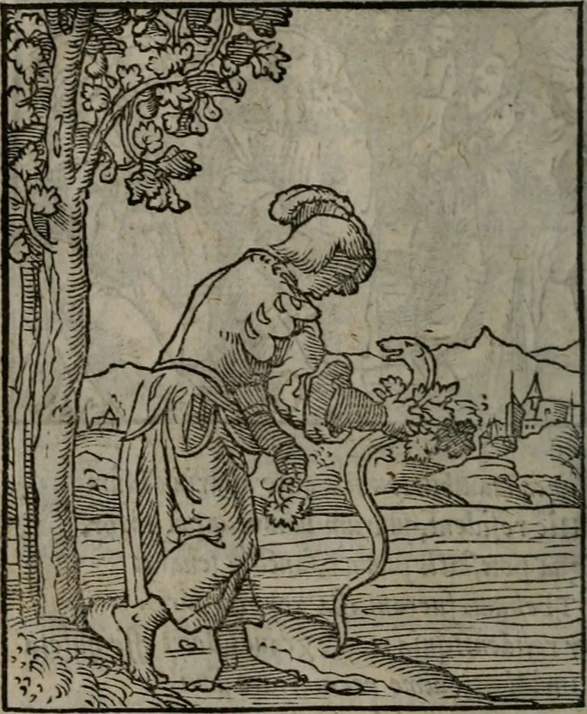 An illustration from Clarissimi Viri D. Andreae Alciati Emblematum libellus : vigilanter recognitus, & ab ipso iam authore locupletatus, 1542, leaf 65