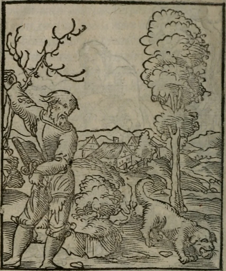 An illustration from Clarissimi Viri D. Andreae Alciati Emblematum libellus : vigilanter recognitus, & ab ipso iam authore locupletatus, 1542, leaf 75