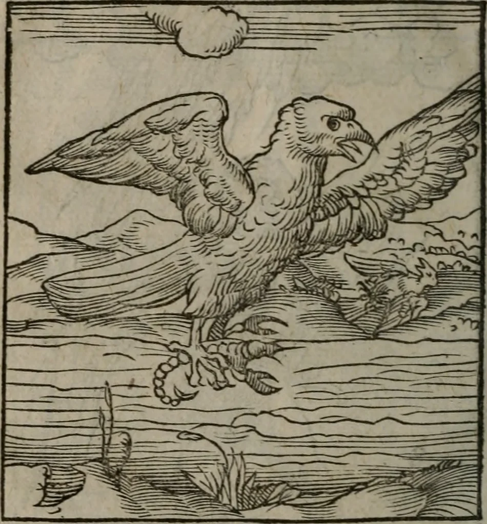 An illustration from Clarissimi Viri D. Andreae Alciati Emblematum libellus : vigilanter recognitus, & ab ipso iam authore locupletatus, 1542, leaf 79