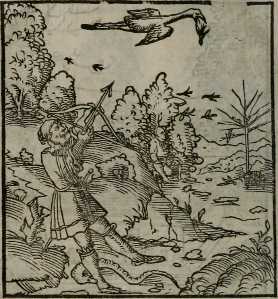 An illustration from Clarissimi Viri D. Andreae Alciati Emblematum libellus : vigilanter recognitus, & ab ipso iam authore locupletatus, 1542, leaf 89