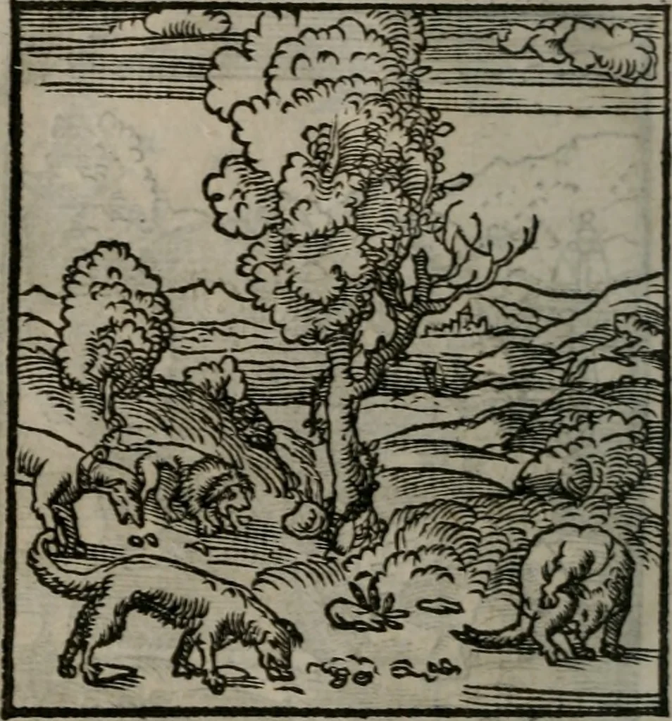 An illustration from Clarissimi Viri D. Andreae Alciati Emblematum libellus : vigilanter recognitus, & ab ipso iam authore locupletatus, 1542, leaf 91