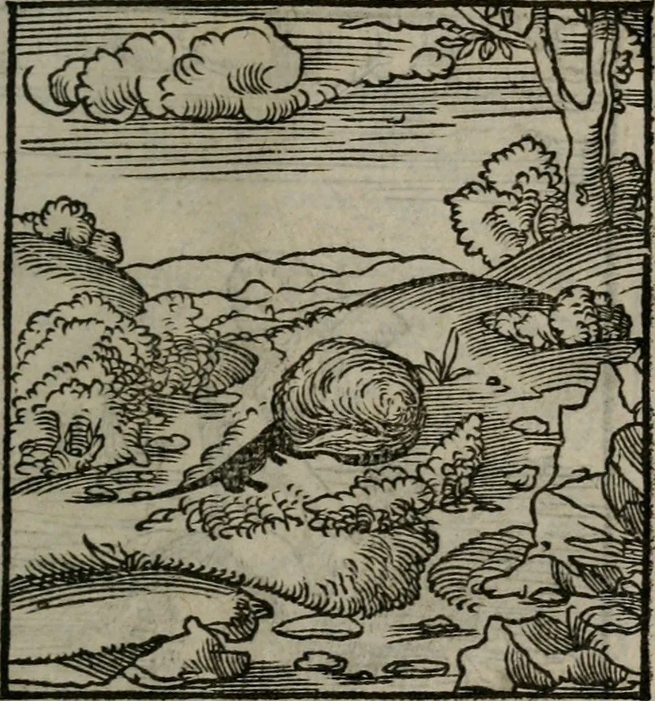 An illustration from Clarissimi Viri D. Andreae Alciati Emblematum libellus : vigilanter recognitus, & ab ipso iam authore locupletatus, 1542, leaf 92