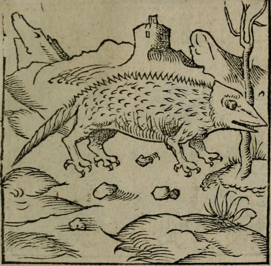 An illustration from Clarissimi Viri D. Andreae Alciati Emblematum libellus : vigilanter recognitus, & ab ipso iam authore locupletatus, 1542, leaf 94