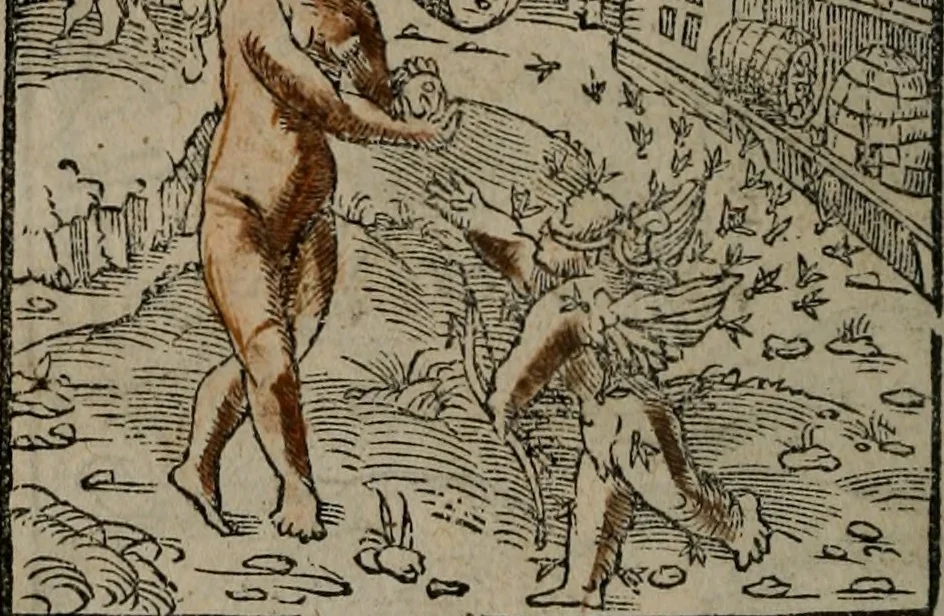 An illustration from Clarissimi Viri D. Andreae Alciati Emblematum libellus : vigilanter recognitus, & ab ipso iam authore locupletatus, 1542, leaf 95